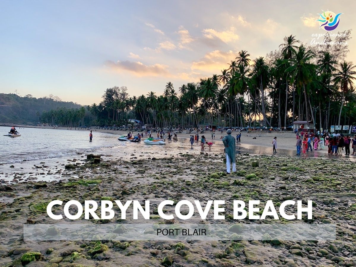Corbyn’s Cove beach